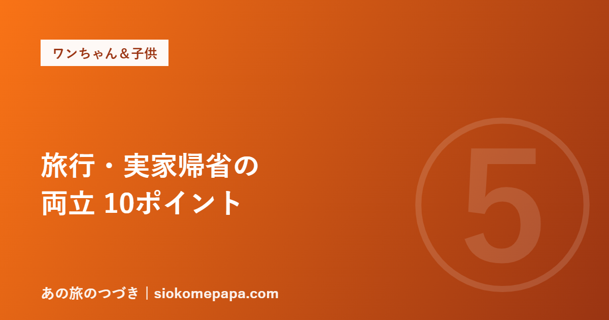 旅行・実家帰省の 両立 10ポイント