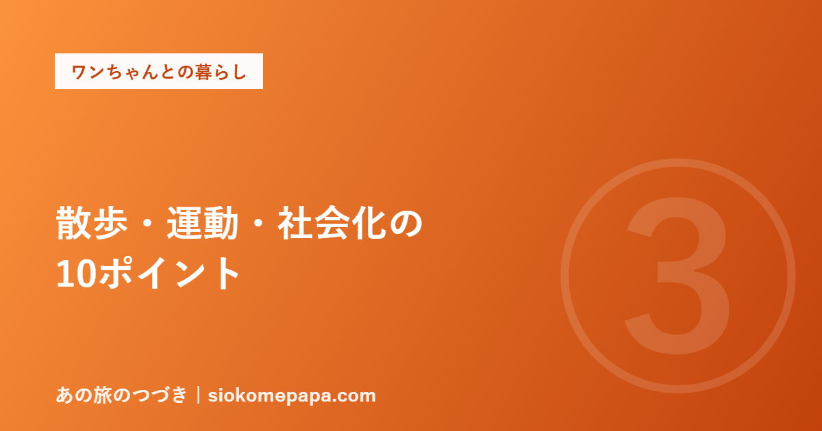 散歩・運動・社会化の 10ポイント