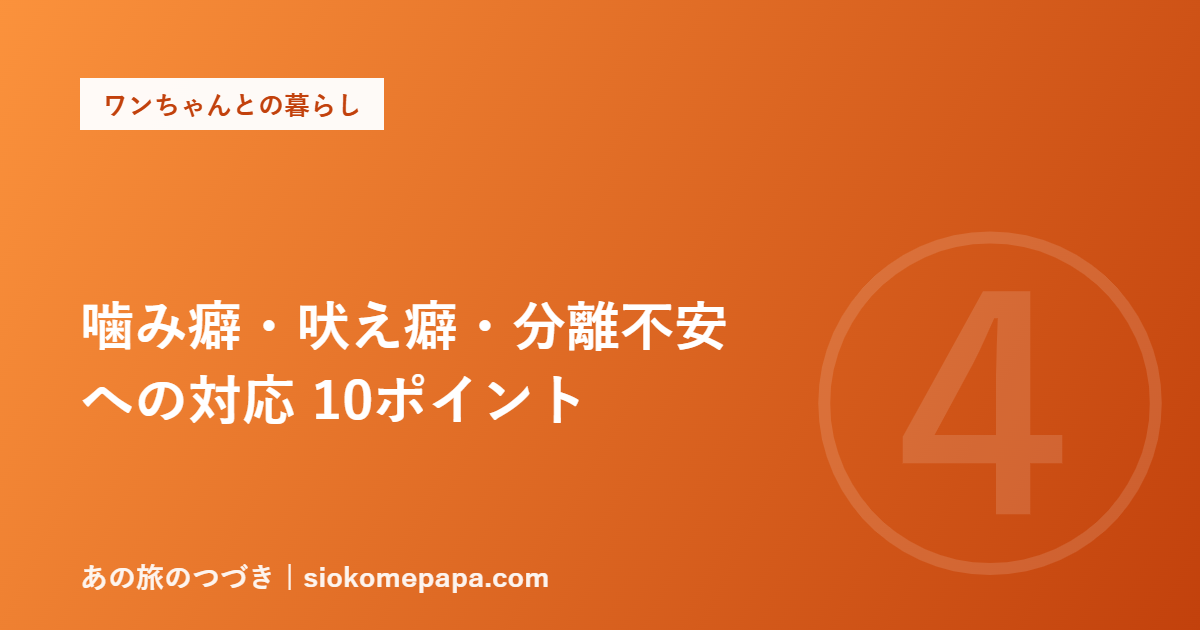 噛み癖・吠え癖・分離不安 への対応 10ポイント