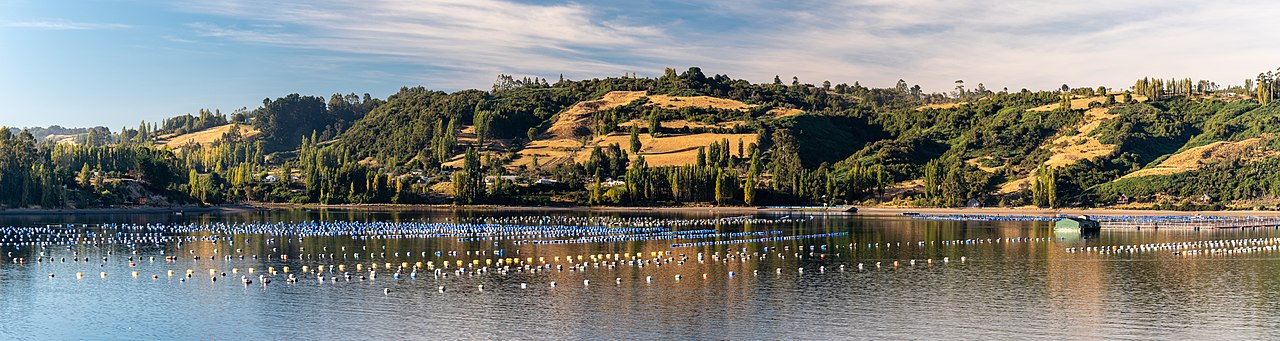 2019-03-16 03 Aquaculture in Chile