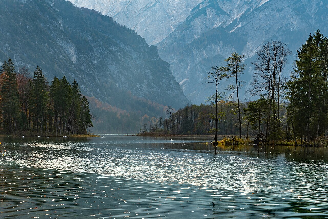 Almsee Nordbucht-4224