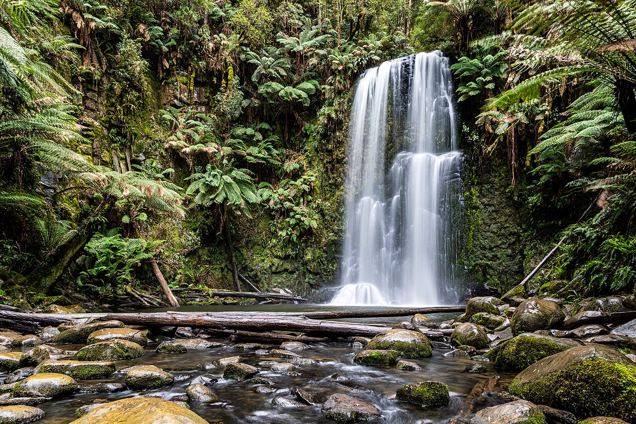 Beech Forest (AU), Great Otway National Park, Beau