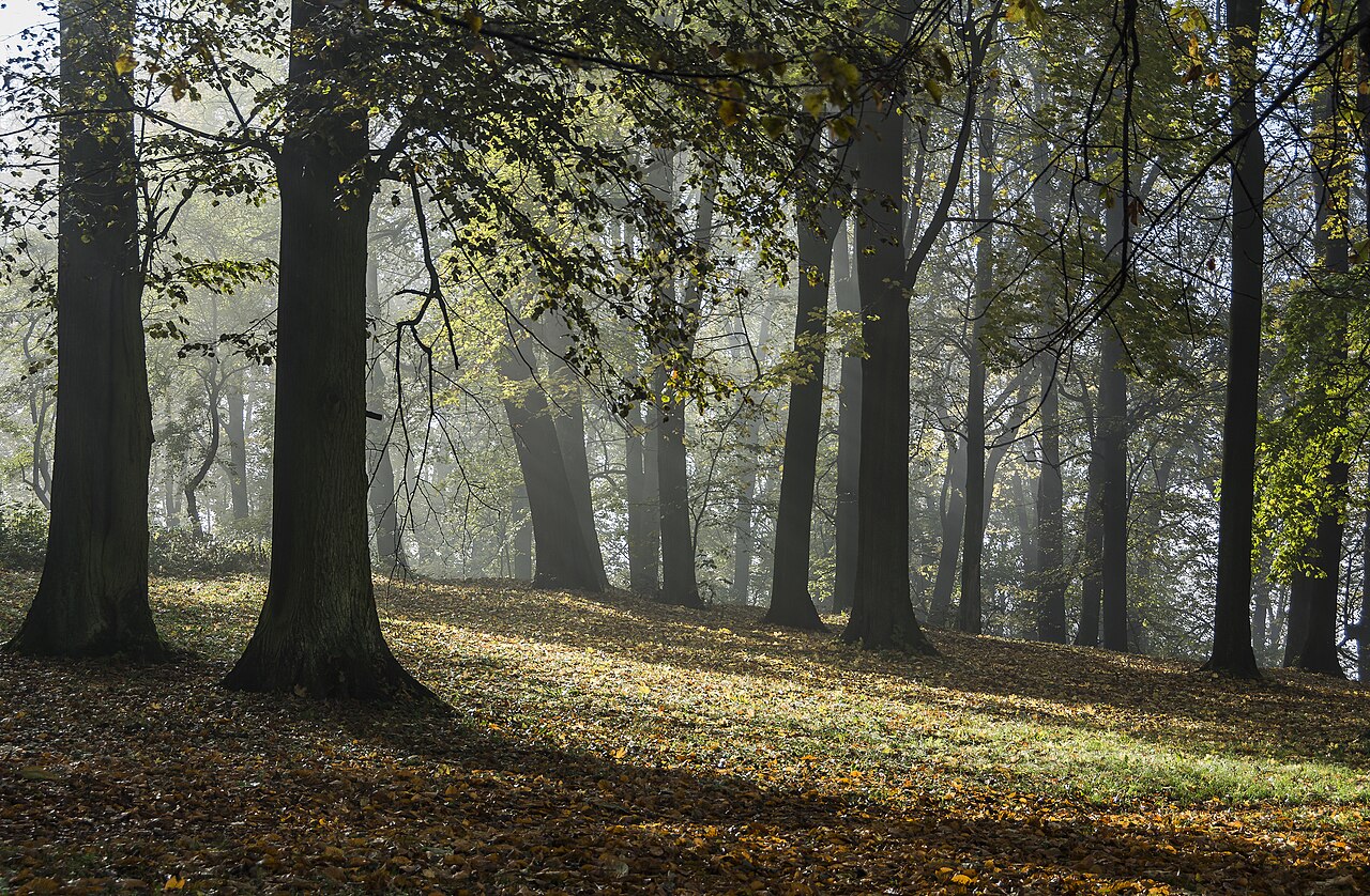 2014 Park w Kłodzku